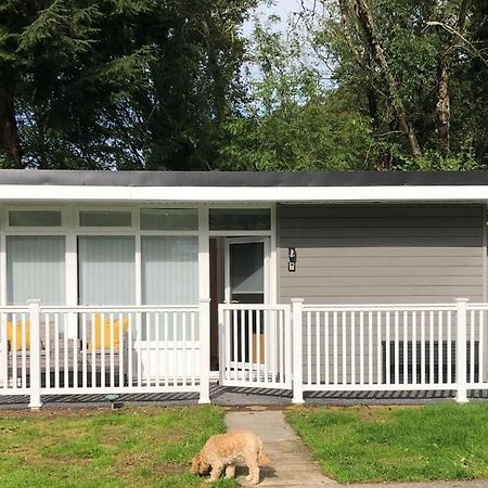 Woodlands Luxury Escape - Lodge 81 New Quay  Exterior photo